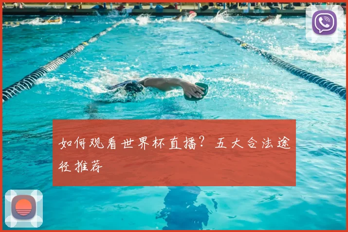 如何观看世界杯直播?五大合法途径推荐