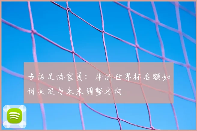 专访足协官员:非洲世界杯名额如何决定与未来调整方向