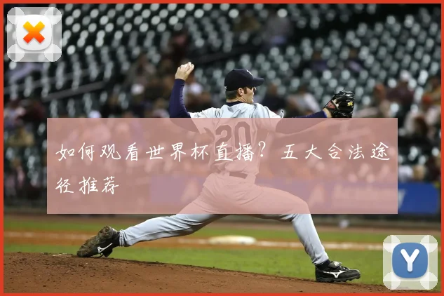 如何观看世界杯直播?五大合法途径推荐