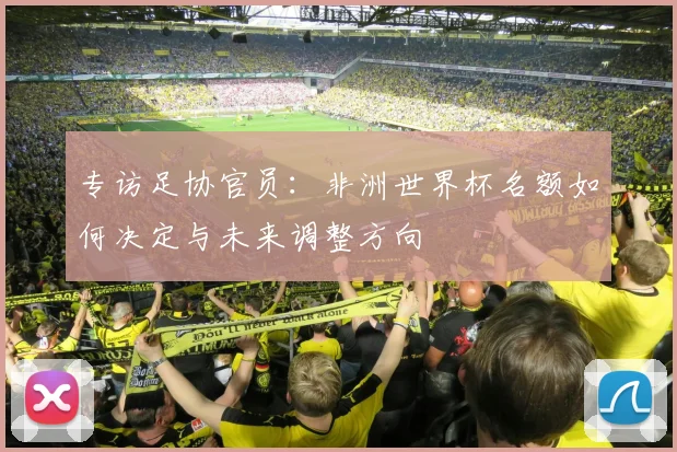 专访足协官员:非洲世界杯名额如何决定与未来调整方向