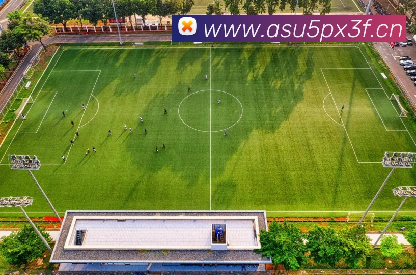 bsprot体育官网登录APP 体育赛事宣传图